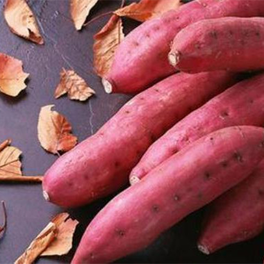 泡沫箱放红薯的方法，红薯怎样放不烂