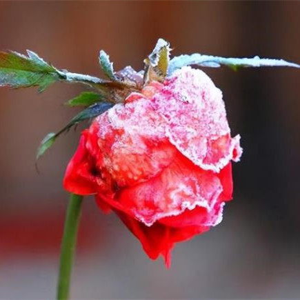 女人喜欢威猛的还是清秀的男人,女人想要的男人是什么样的