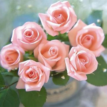 想念老情人的诗词,老情人问候语