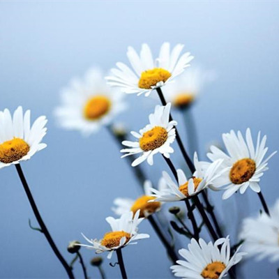 外人来家上厕所有讲究吗，夫妻的床为什么不能让外人睡