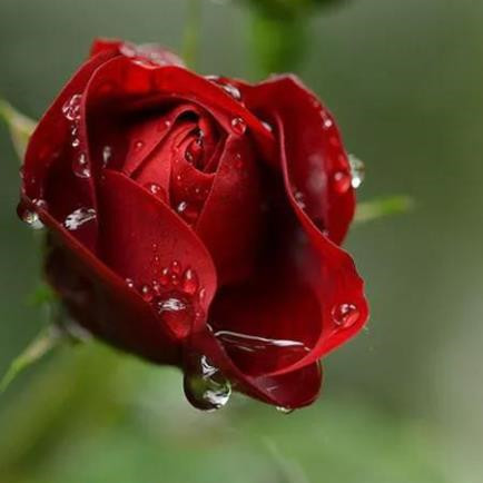 50岁自学10种技能，男人必会技能