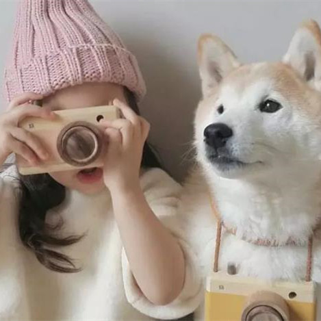 怎样知道女人有很多男人,为什么离婚后的男人爱养狗