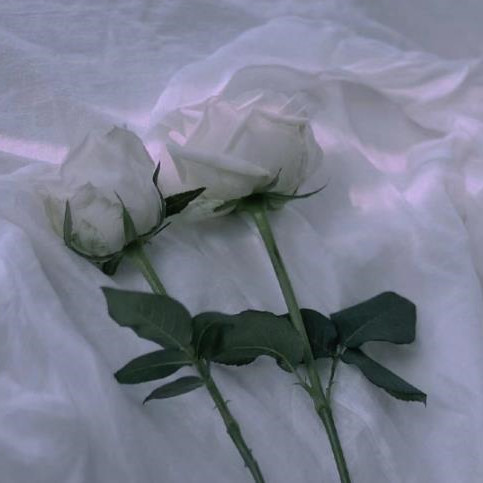 男女双方父母初次见面礼节,和儿媳第一次见面礼节