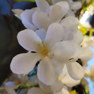 老祖宗留下的老话，十句老话养人