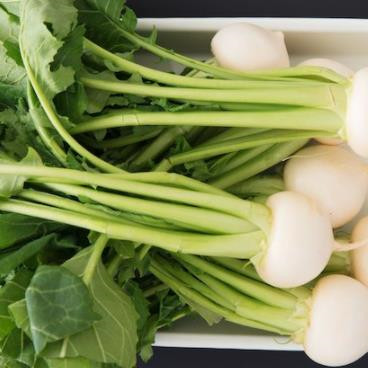 一斤人尿兑多少水施肥，菜籽饼适合给什么菜施肥