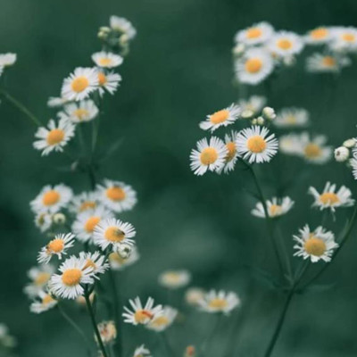 自尊心弱的表现有哪些，自尊心太强容易哭