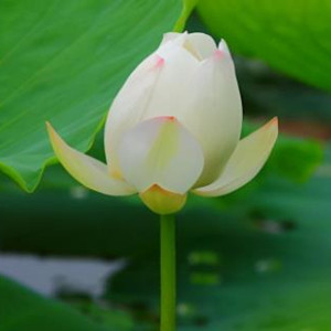 让欺负你的人永远怕你的绝招,孩子被同学欺负怎么办