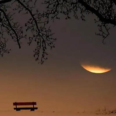 寡妇最怕的事，寡妇最怕什么样的人