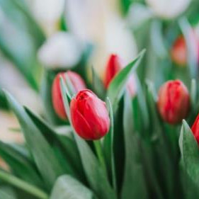 老年绿茶婊的特征，什么样的女人是绿茶