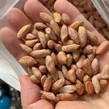 老年十种最佳零食，比较适合老年人的零食