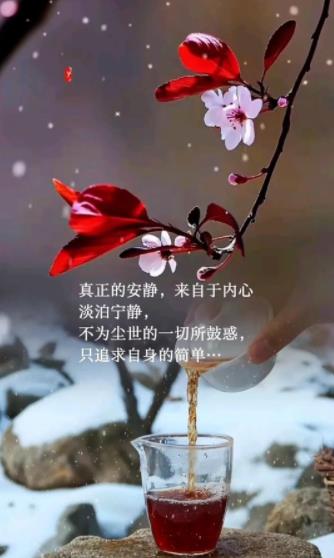 图不重要主要看字的图片