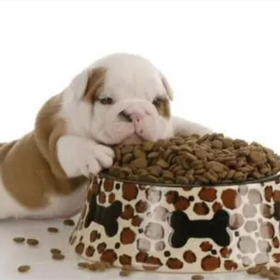 狗一天喂几顿狗粮好,狗一天吃多少狗粮最好