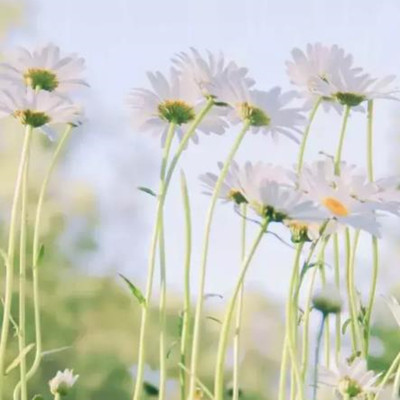 老年情人应怎样相处,老年情人约会一般去哪里最好