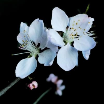 女人出轨的新鲜感会持续多久