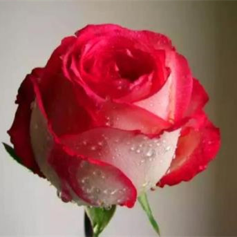 女生最尴尬的四件事