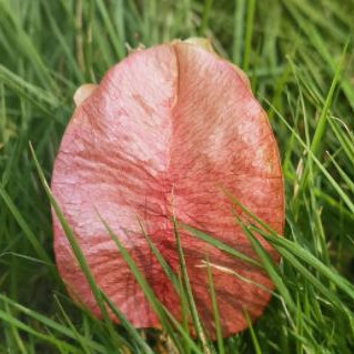 有福气的人往往一眼就能看出，成年人的崩溃往往是一瞬间吗