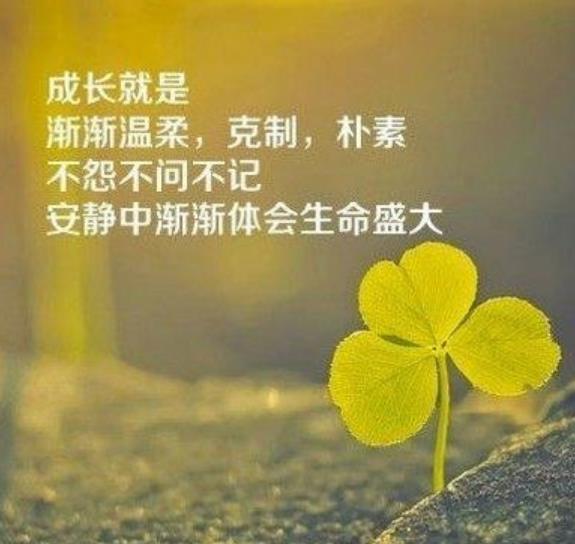 大彻大悟看透人生的图片
