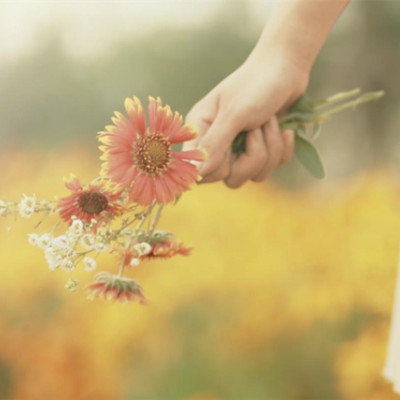 50个技巧让爱情保鲜,爱情保鲜秘诀50招