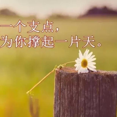 最打动人心的祝福语,最能打动人心的问候语