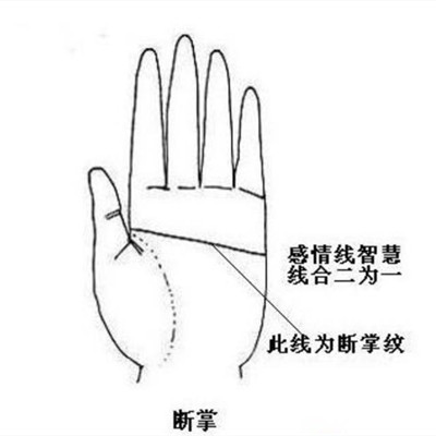 断掌纹的男人有什么说法，男人双手都是断纹掌好不好