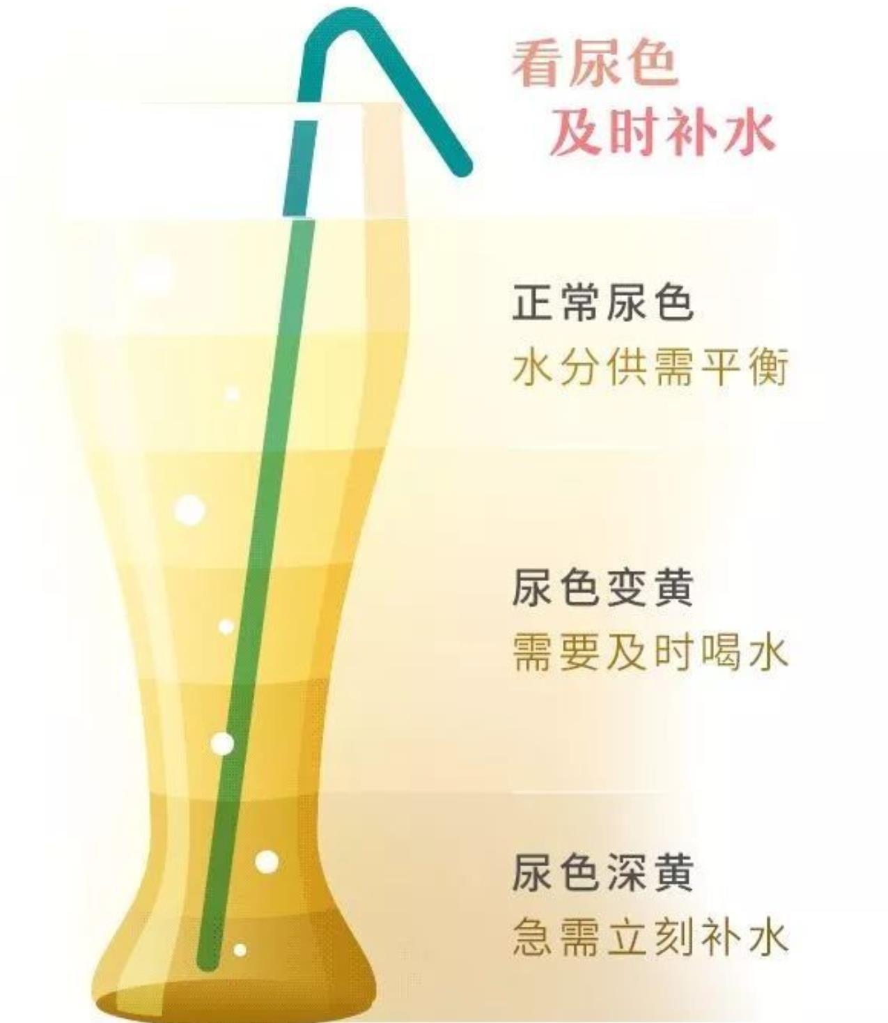 一张图看懂尿液的颜色