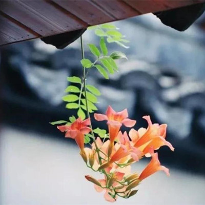 福薄之人必有四种征兆,福薄之人身上三个特征