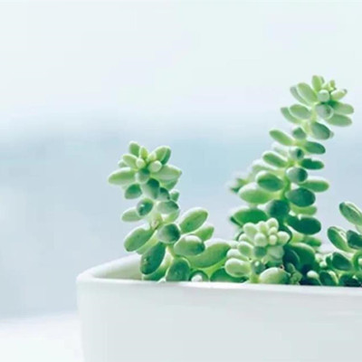 中年女人最招架不住50句情话