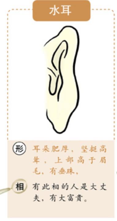 耳朵福气图