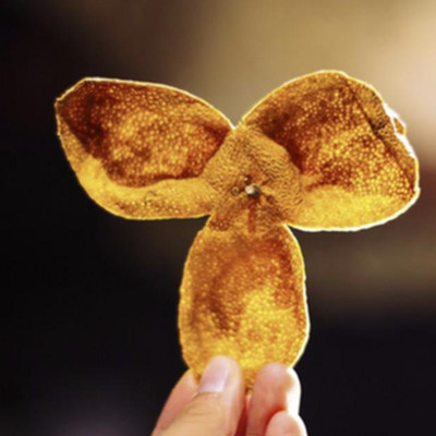 一般的桔子皮晒干可以做陈皮吗,陈皮的制作过程是怎样的