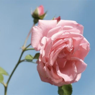 情人5年以上分手概率大吗