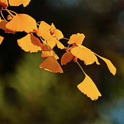 女人58岁贪欲强的表现