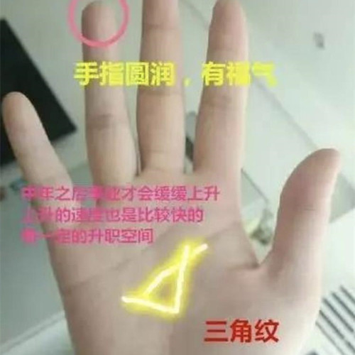 手掌三角纹什么意思