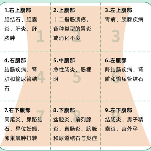 女性身体器官疼痛对照表