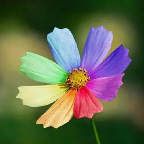 女性75岁还需要找伴吗