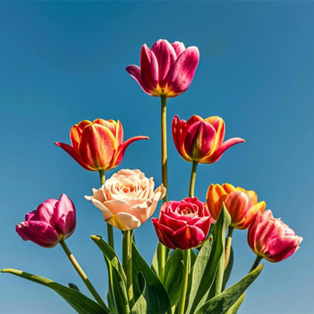 和人相处的四大潜规则