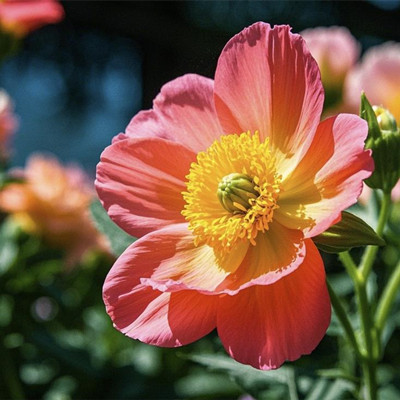 男人什么地方最容易让女人喜欢