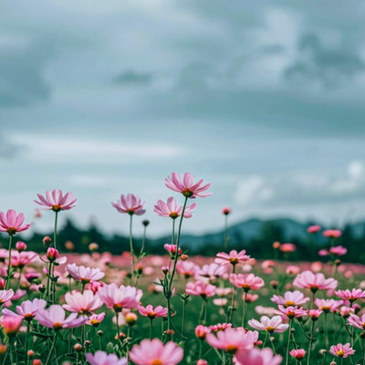随便一打扮就很惊艳的五大星座女