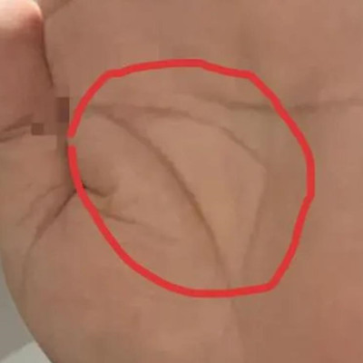 掌心有角什么意思