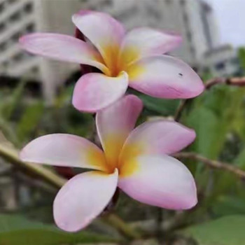 有哪些习惯说明男人心里有别的女人