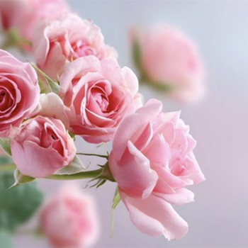 女人招架不住100句情话