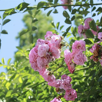 判断人品差的细节有哪些，人品差的十大特点