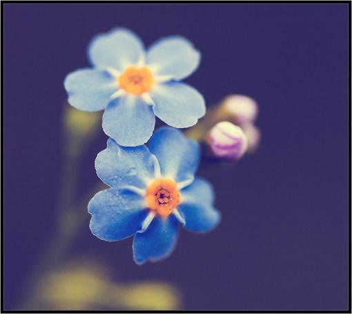 如果你身边有这几种朋友,赶紧趁早绝交