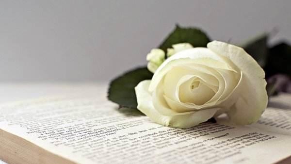 优秀的女性,都具备这7种特征