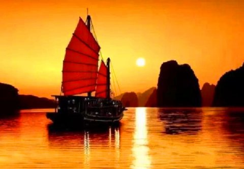 能忍外傻内精的人最聪明,外表越老实内心越精明星座