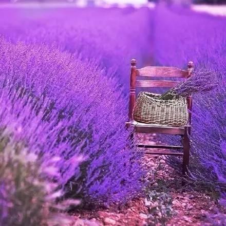 男女相处的4个小细节表现