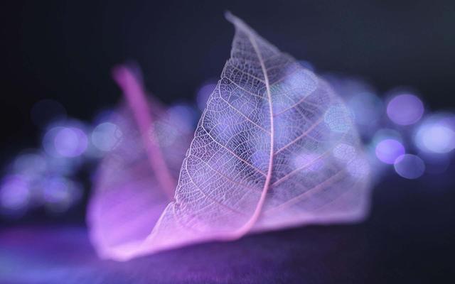 亲戚交往的四个原则,看完才发现社会很现实