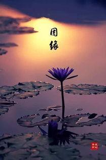 「摘星观」:这几类人有神灵保佑,伤害他们,必遭报应!