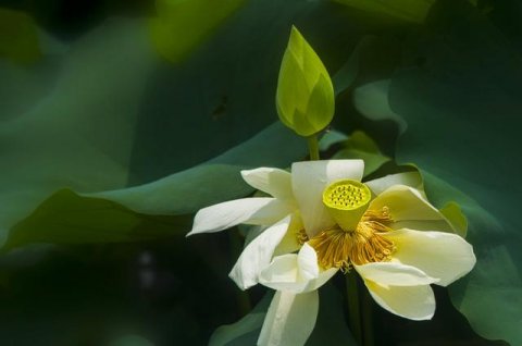 不干净的东西缠身特征,如何判断自己被不干净的东西缠身