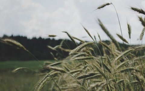 人死了后要过多久才会投胎，人死了就永远消失了吗