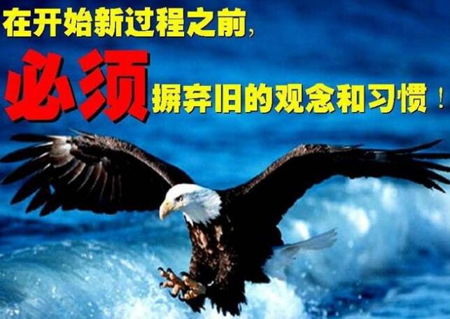 完全蜕变重生坚强的图片00